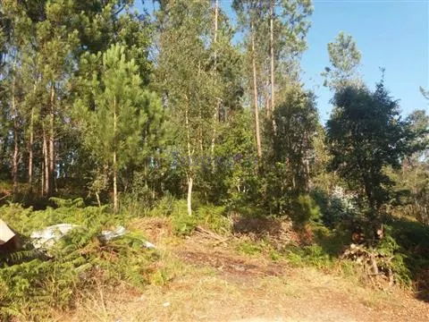 Terreno Rstico T0 - Escariz, Arouca, Aveiro - Miniatura: 6/9