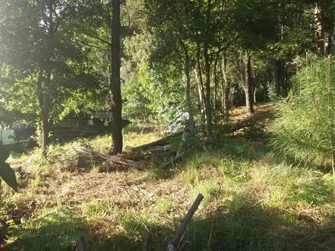 Terreno Rstico T0 - Escariz, Arouca, Aveiro - Miniatura: 7/9