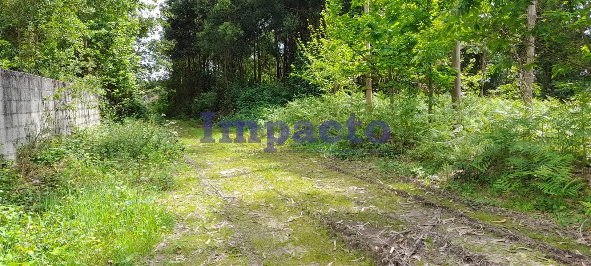 Terreno Rstico T0 - Milheirs de Poiares, Santa Maria da Feira, Aveiro - Miniatura: 8/9