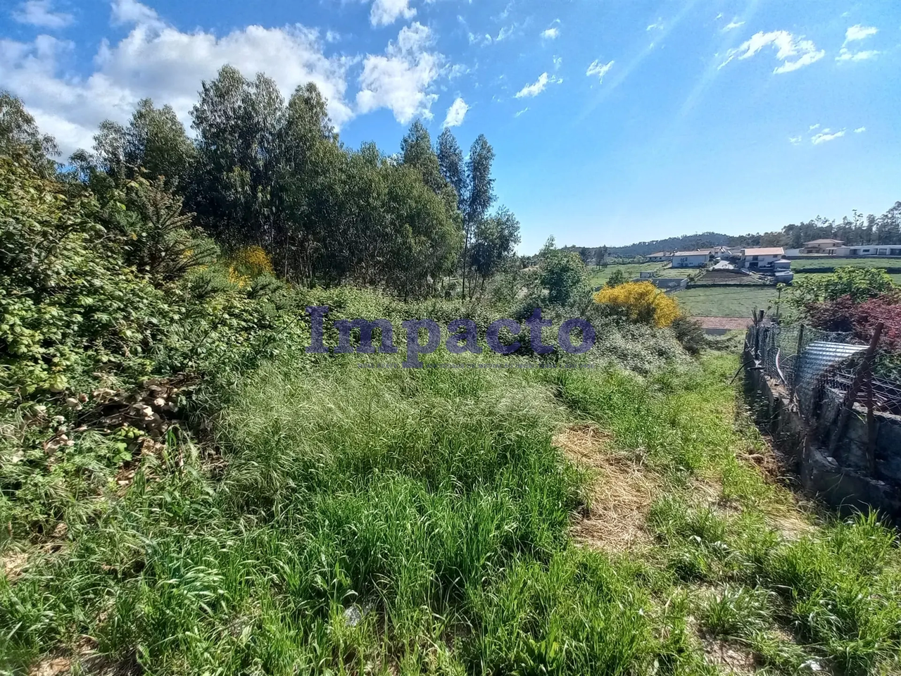 Terreno R�stico - Escariz, Arouca, Aveiro - Miniatura: 1/9