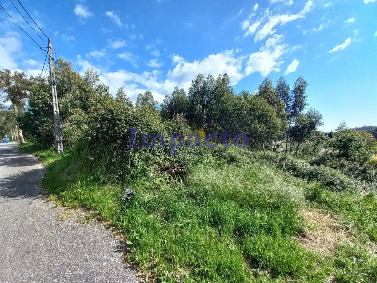Terreno R�stico - Escariz, Arouca, Aveiro - Miniatura: 4/9