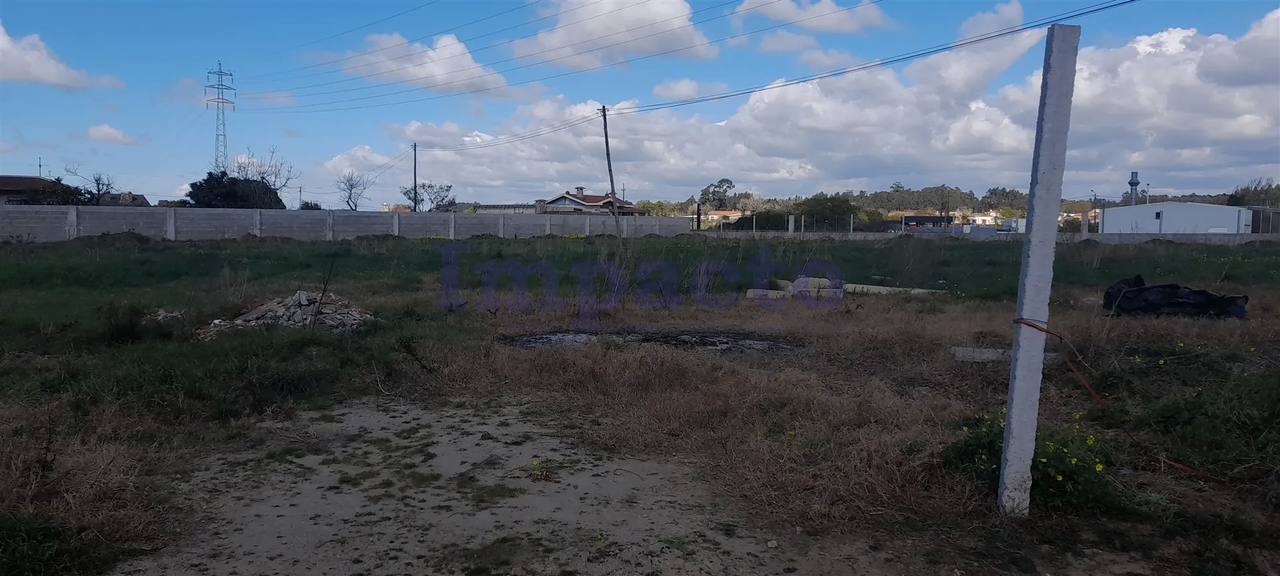 Terreno Rstico - Vlega, Ovar, Aveiro - Miniatura: 3/9