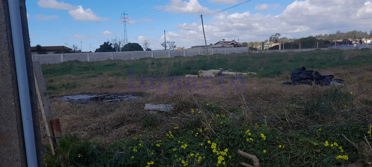Terreno Rstico - Vlega, Ovar, Aveiro - Miniatura: 4/9