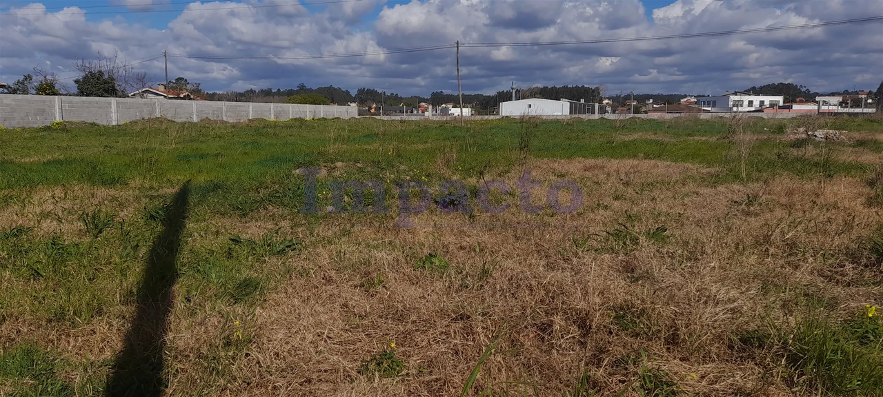 Terreno Rstico - Vlega, Ovar, Aveiro - Miniatura: 7/9