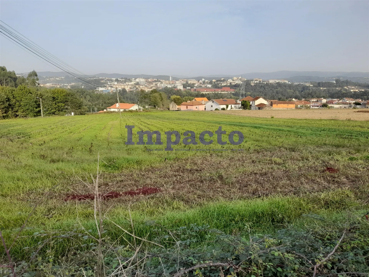 Terreno R�stico - Oliveira de Azemeis, Oliveira de Azem�is, Aveiro - Miniatura: 4/5