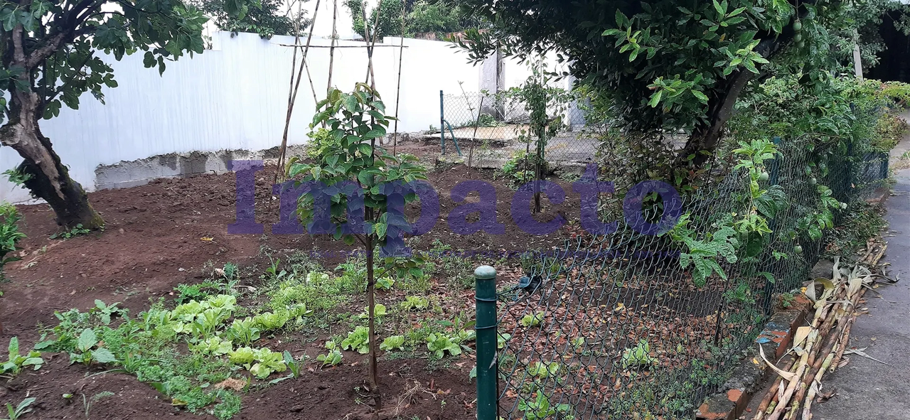 Terreno R�stico - S�o Jo�o da Madeira, S�o Jo�o da Madeira, Aveiro - Miniatura: 2/5