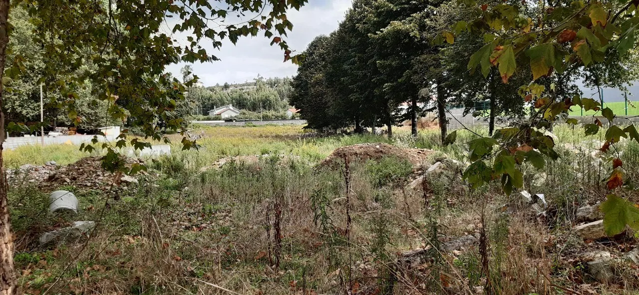 Terreno R�stico - S�o Roque, Oliveira de Azem�is, Aveiro - Miniatura: 1/3