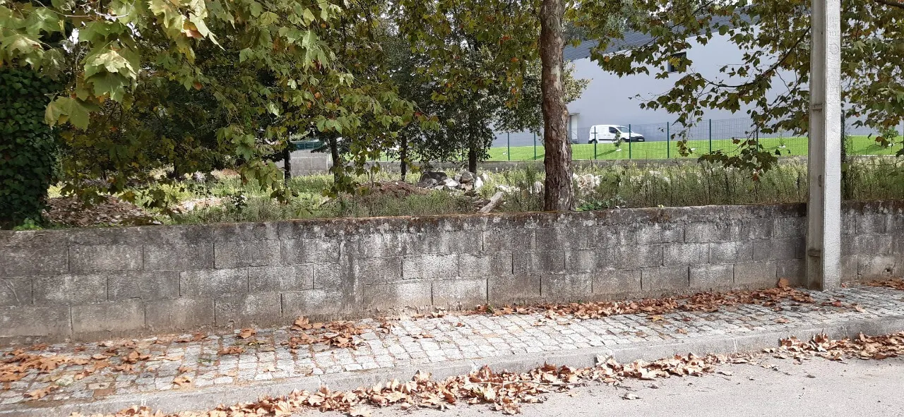 Terreno R�stico - S�o Roque, Oliveira de Azem�is, Aveiro - Miniatura: 2/3