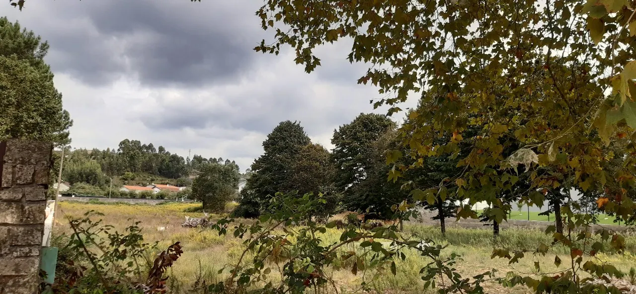 Terreno R�stico - S�o Roque, Oliveira de Azem�is, Aveiro - Miniatura: 3/3