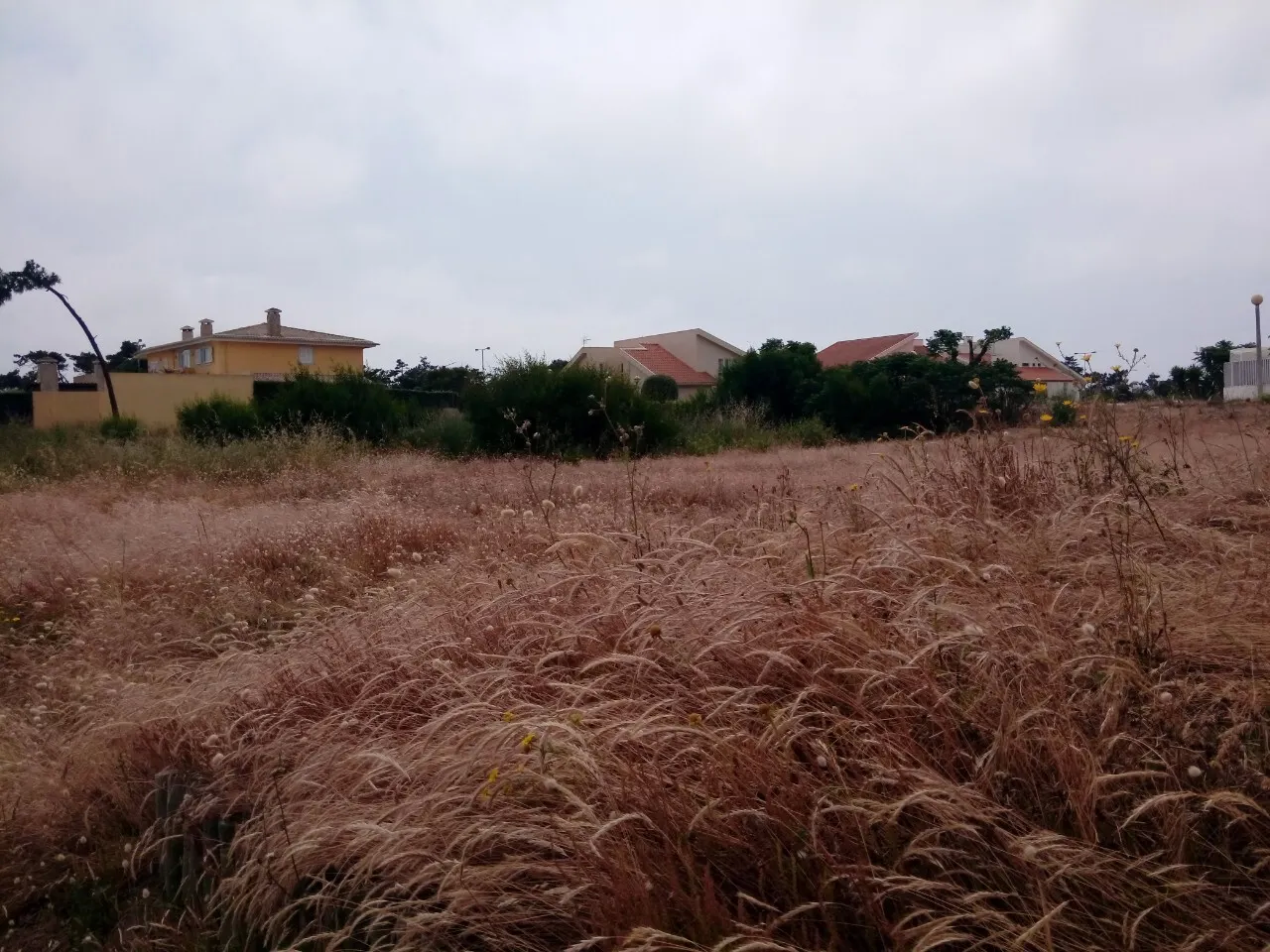 Terreno R�stico - Torreira, Murtosa, Aveiro - Miniatura: 4/9