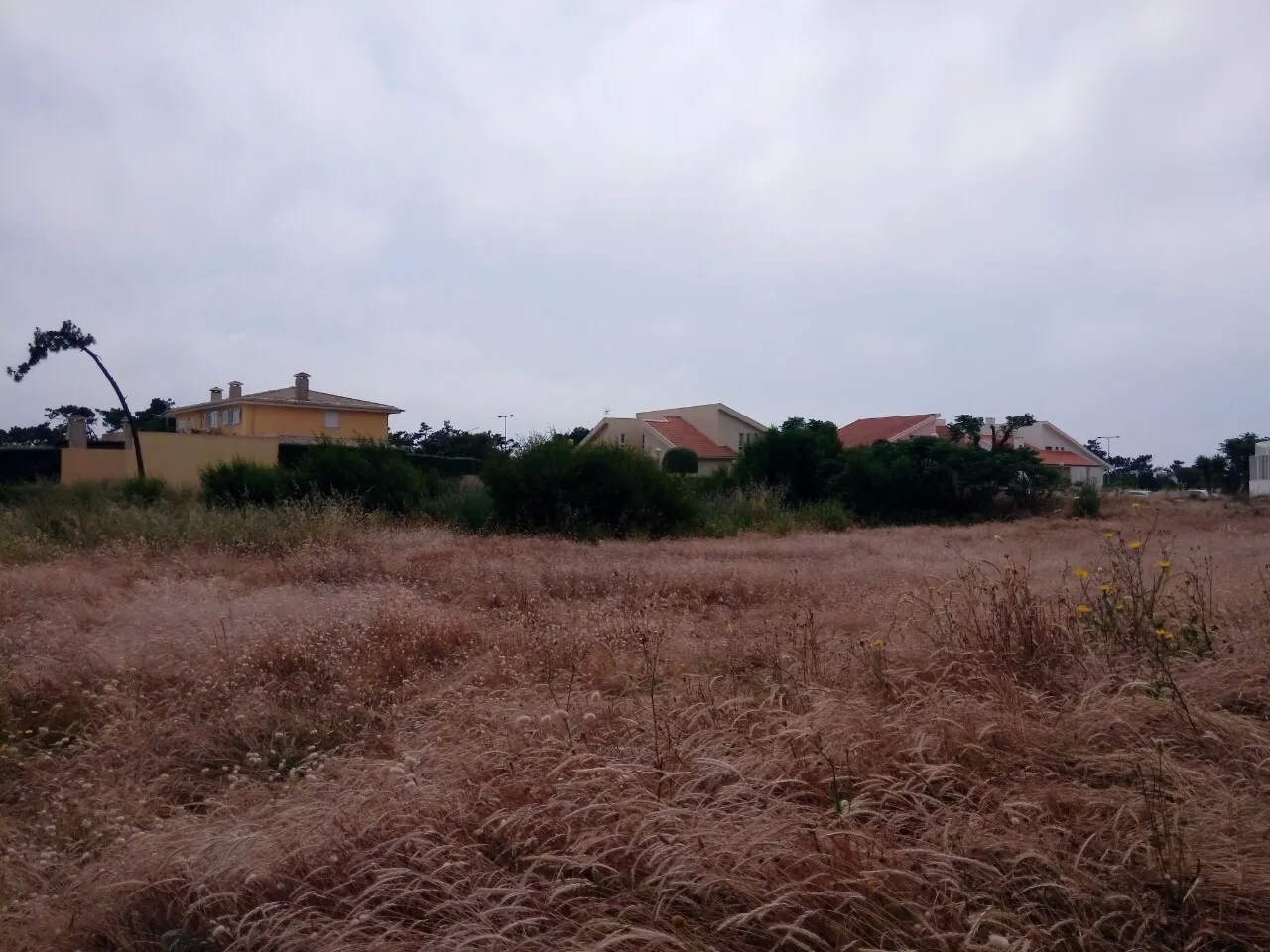 Terreno R�stico - Torreira, Murtosa, Aveiro - Miniatura: 5/9