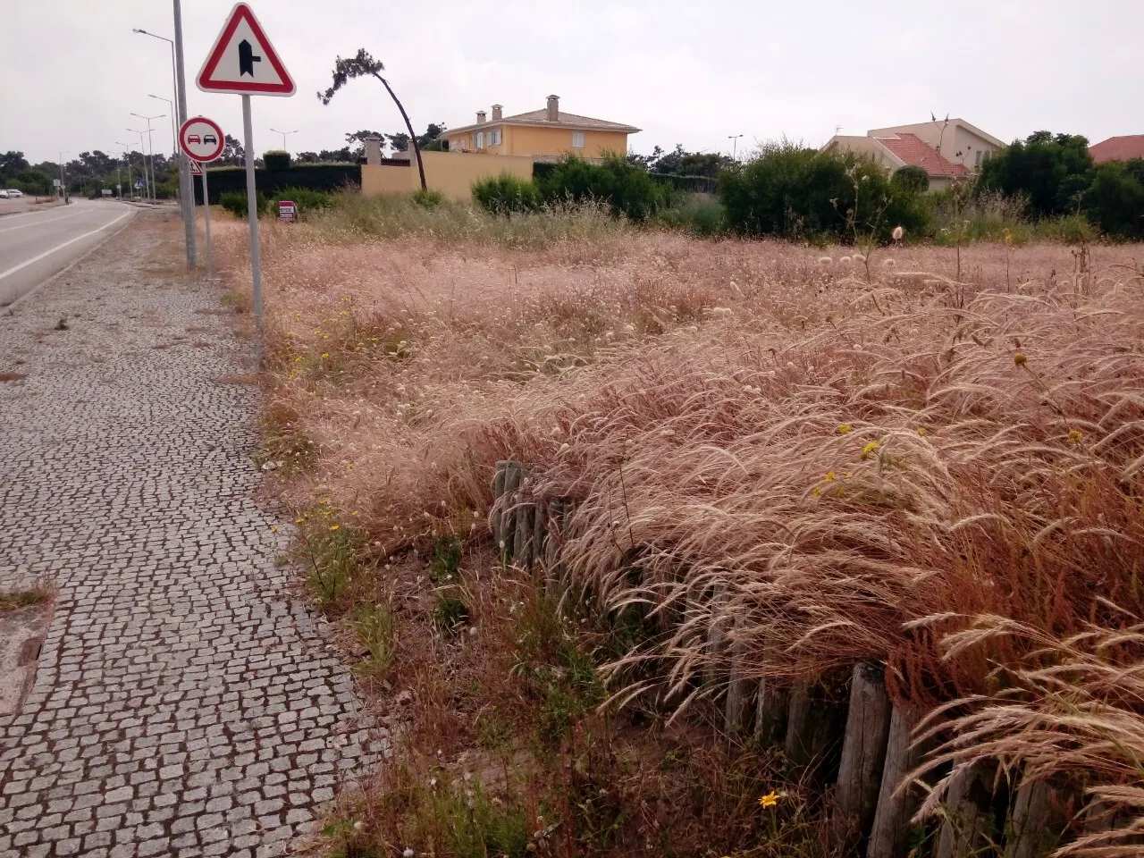 Terreno R�stico - Torreira, Murtosa, Aveiro - Miniatura: 6/9