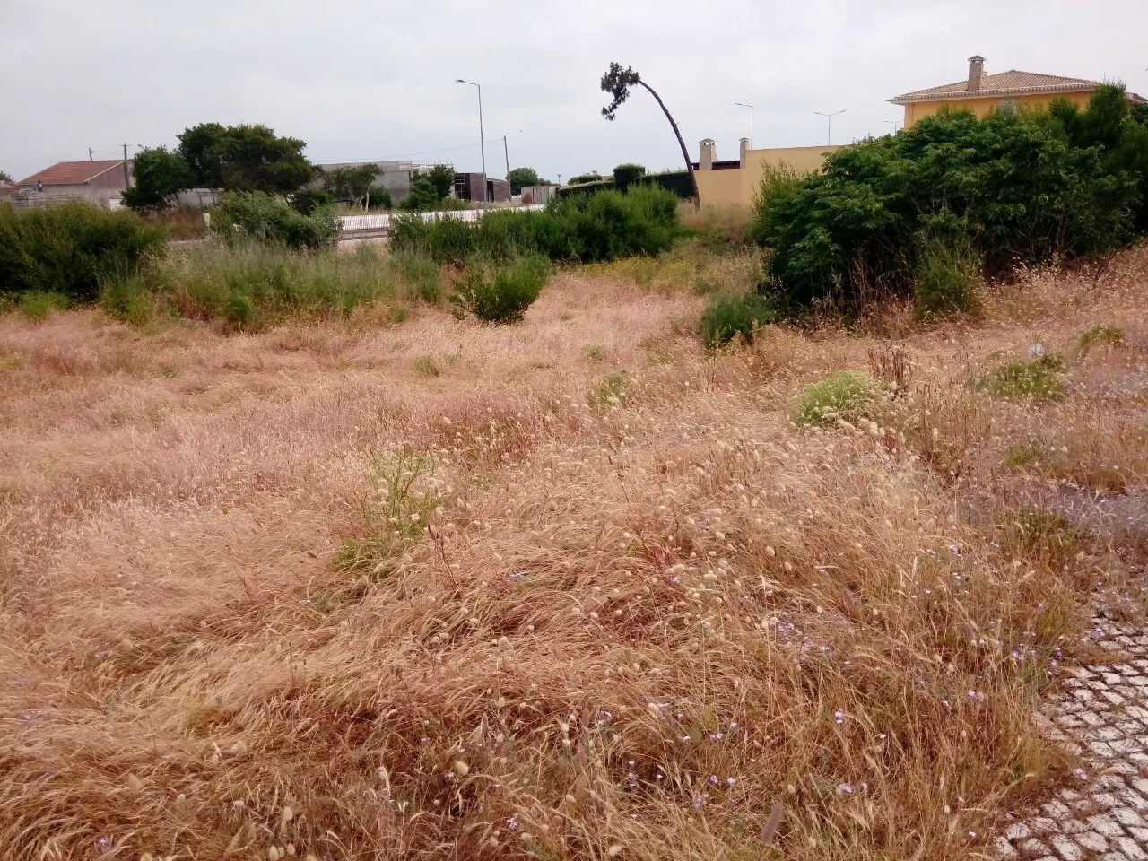 Terreno R�stico - Torreira, Murtosa, Aveiro - Miniatura: 7/9