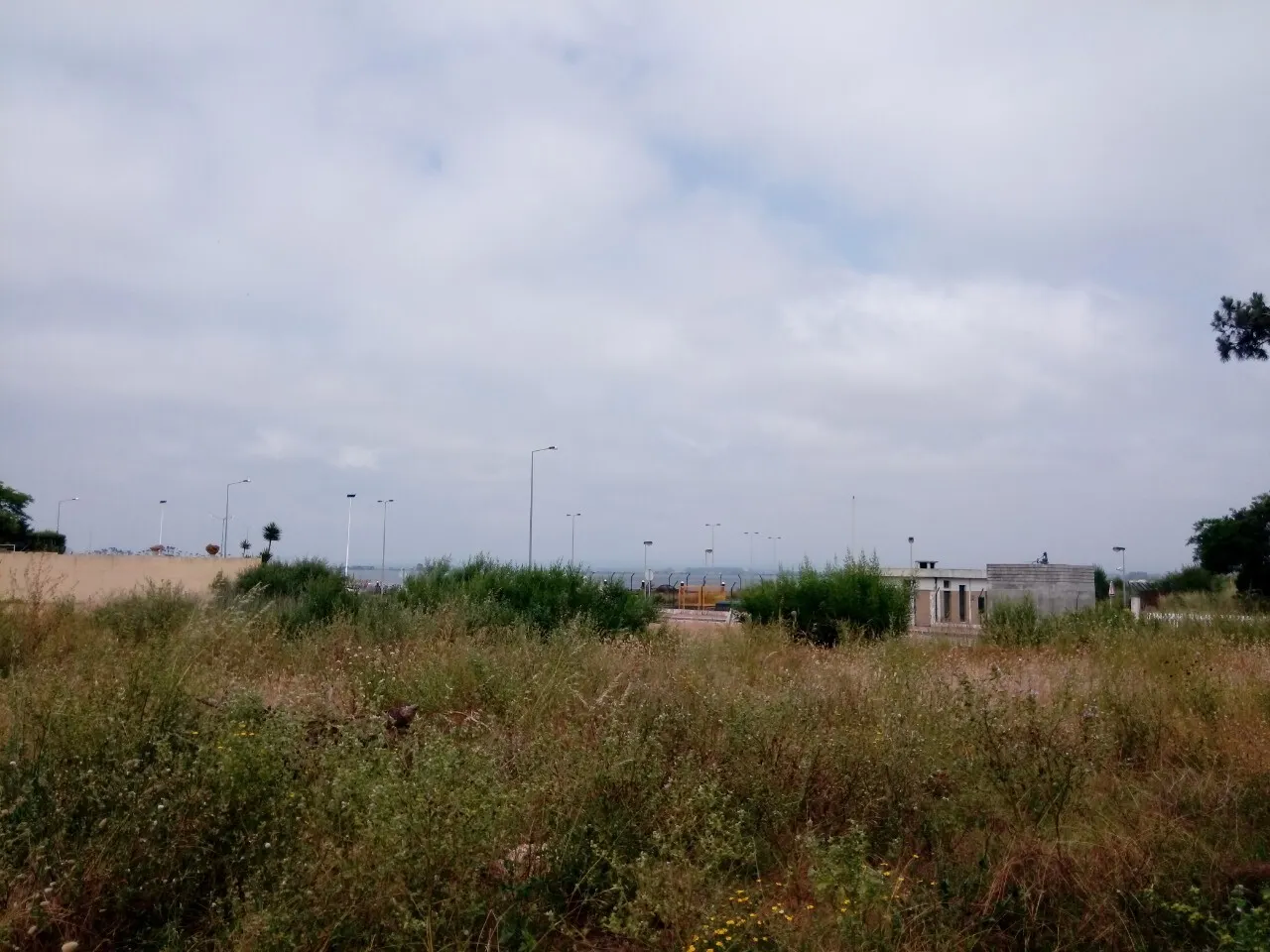 Terreno R�stico - Torreira, Murtosa, Aveiro - Miniatura: 8/9