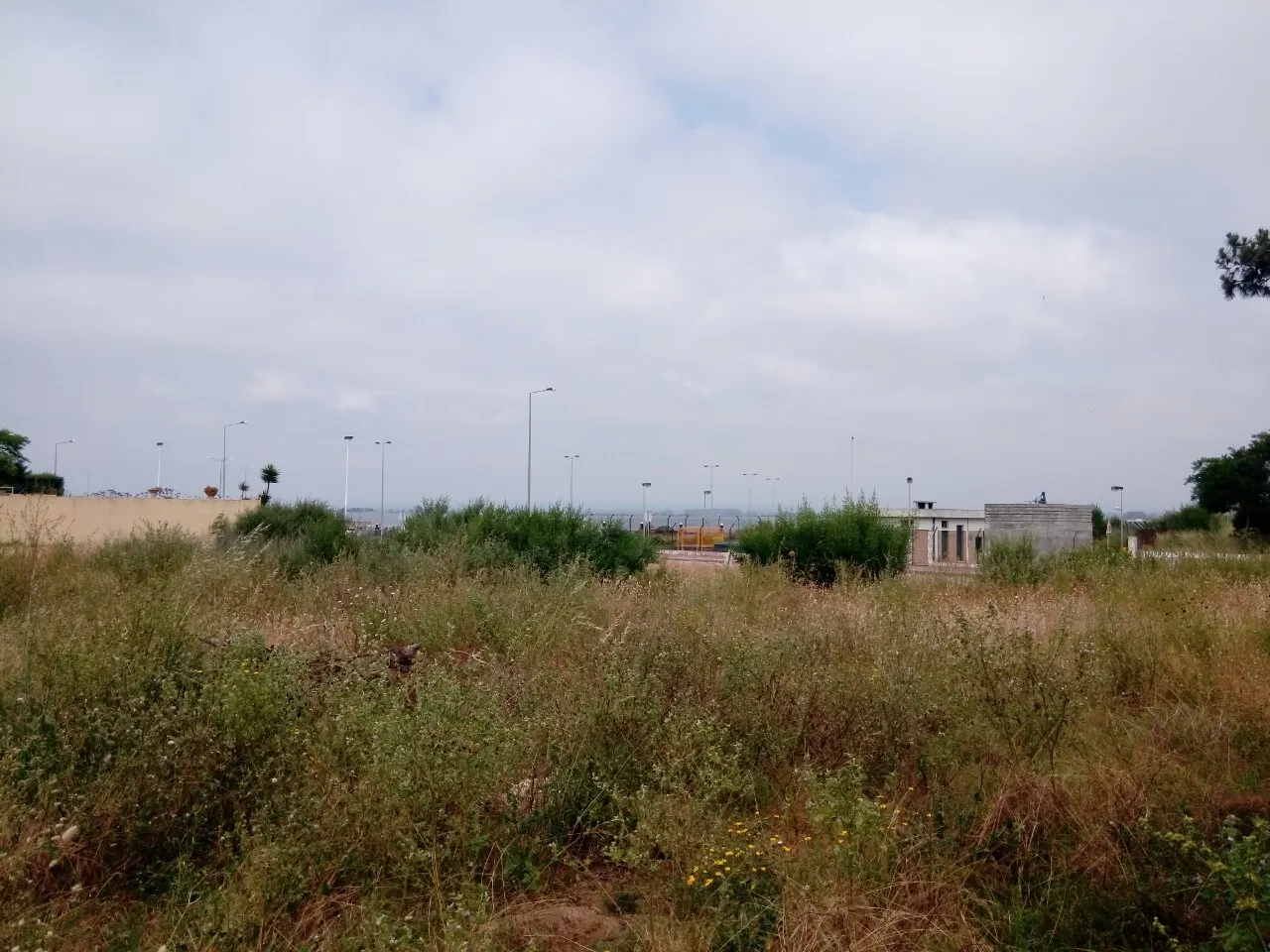 Terreno R�stico - Torreira, Murtosa, Aveiro - Miniatura: 9/9