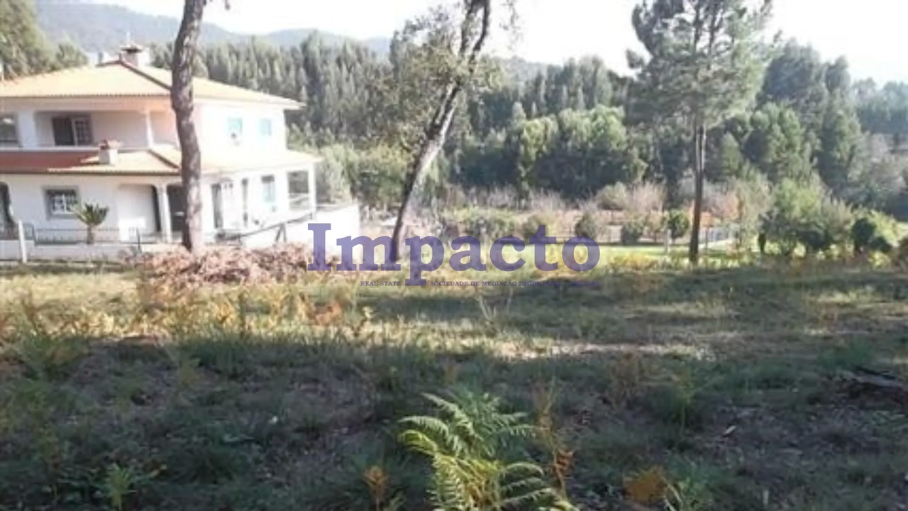 Terreno R�stico - Pindelo, Oliveira de Azem�is, Aveiro - Miniatura: 2/2