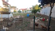 Terreno Rstico - Milheirs de Poiares, Santa Maria da Feira, Aveiro - Miniatura: 4/9