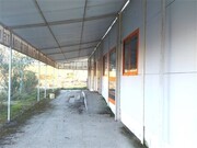 Armazm - Ratoeira, Celorico da Beira, Guarda - Miniatura: 6/9