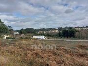 Terreno R�stico - Vila de Cucuj�es, Oliveira de Azem�is, Aveiro - Miniatura: 2/9