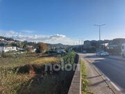 Terreno R�stico - Vila de Cucuj�es, Oliveira de Azem�is, Aveiro - Miniatura: 4/9