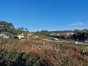 Terreno R�stico - Vila de Cucuj�es, Oliveira de Azem�is, Aveiro - Miniatura: 9/9