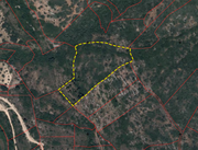 Terreno R�stico - Alcaria, Porto de M�s, Leiria - Miniatura: 2/5