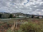 Terreno R�stico - Vila de Cucuj�es, Oliveira de Azem�is, Aveiro - Miniatura: 9/9