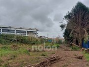 Armaz�m - Santa Maria de Lamas, Santa Maria da Feira, Aveiro - Miniatura: 9/9