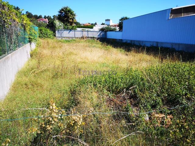Terreno Rústico T0 - Lourosa, Santa Maria da Feira, Aveiro - Imagem grande