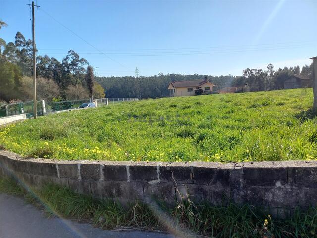 Terreno Rústico T0 - São Martinho da Gândara, Oliveira de Azeméis, Aveiro - Imagem grande