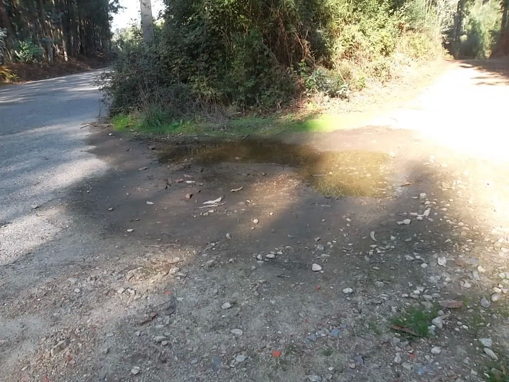 Terreno R�stico - Macieira de Sarnes, Oliveira de Azem�is, Aveiro - Imagem grande