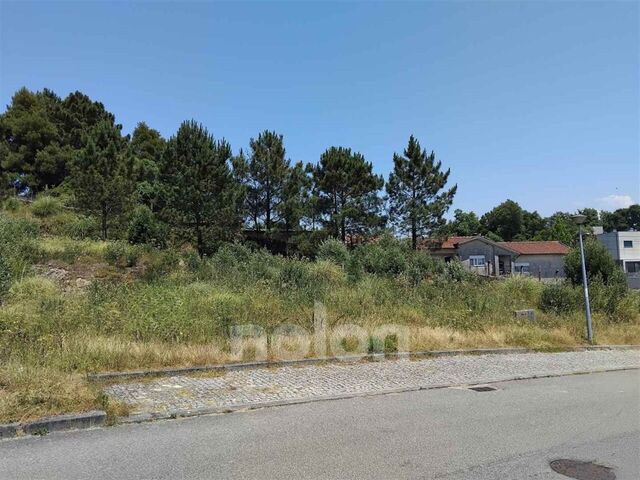 Terreno R�stico - Mozelos, Santa Maria da Feira, Aveiro - Imagem grande