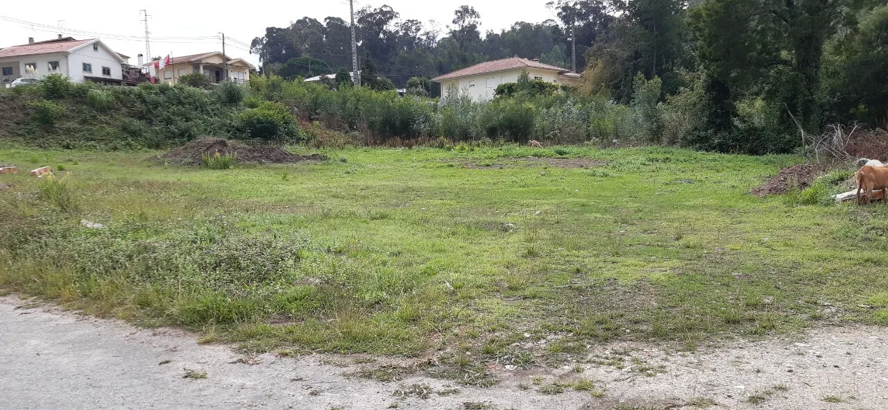 Terreno R�stico - S�o Roque, Oliveira de Azem�is, Aveiro