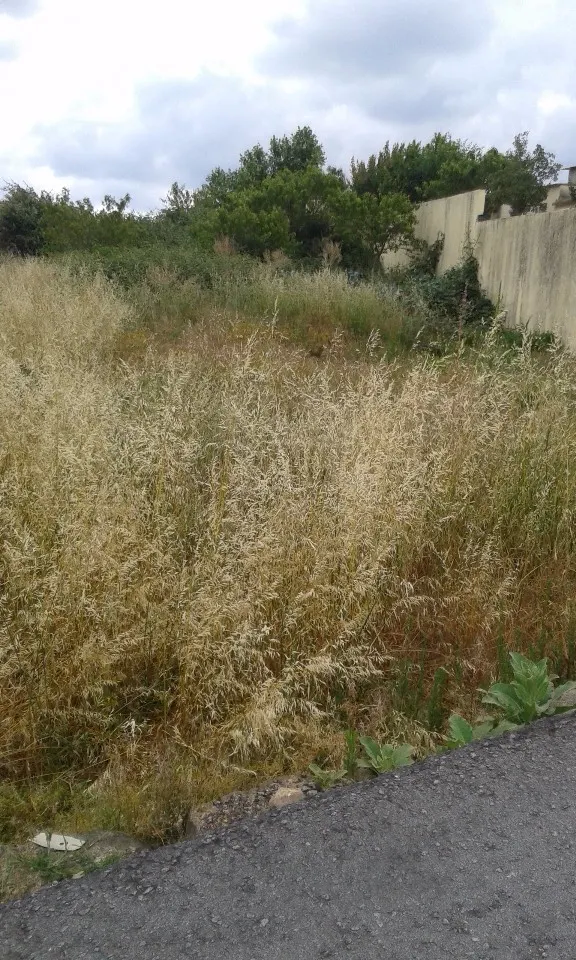 Terreno Rstico - So Joo da Madeira, So Joo da Madeira, Aveiro