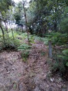 Terreno Rstico - Valadares, Baio, Porto