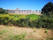 Terreno Rstico T0 - Lourosa, Santa Maria da Feira, Aveiro - Miniatura: 2/8