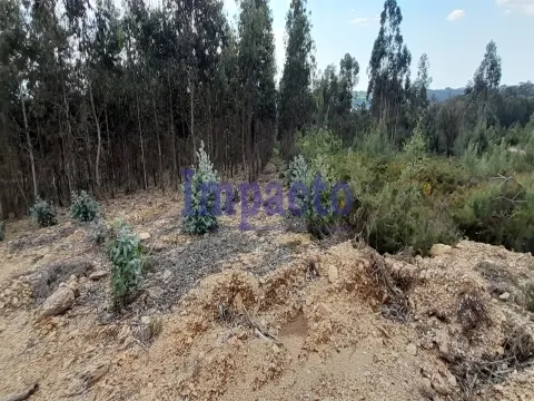 Terreno Rstico T0 - Milheirs de Poiares, Santa Maria da Feira, Aveiro - Miniatura: 6/9