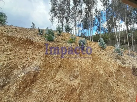 Terreno Rstico T0 - Milheirs de Poiares, Santa Maria da Feira, Aveiro - Miniatura: 7/9