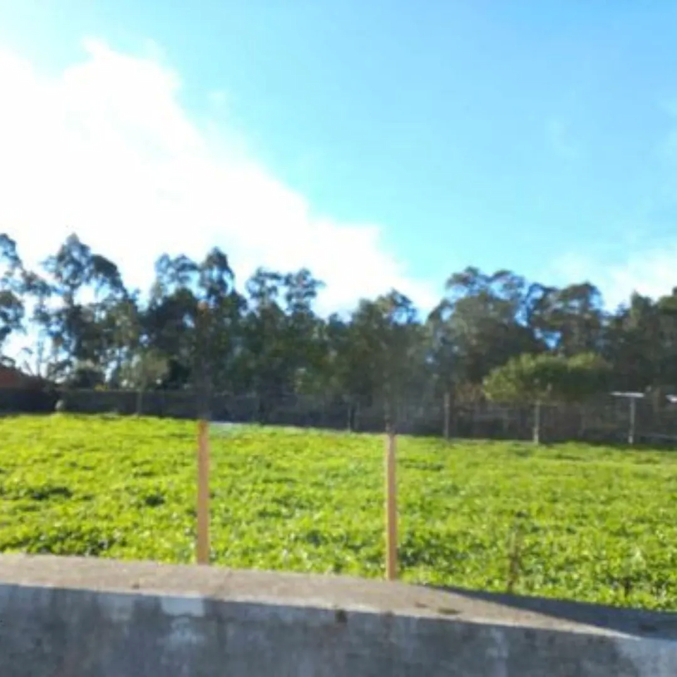 Terreno R�stico - S�o Martinho da G�ndara, Oliveira de Azem�is, Aveiro - Miniatura: 8/8