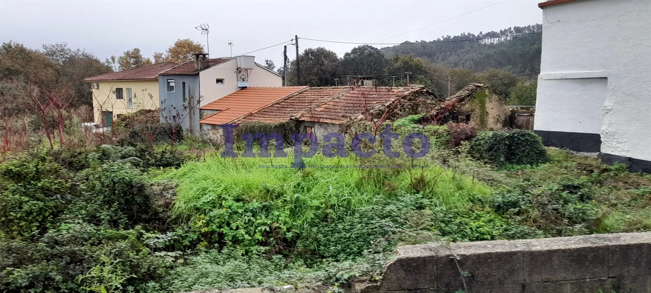Terreno R�stico - Oliveira de Azemeis, Oliveira de Azem�is, Aveiro - Miniatura: 5/8