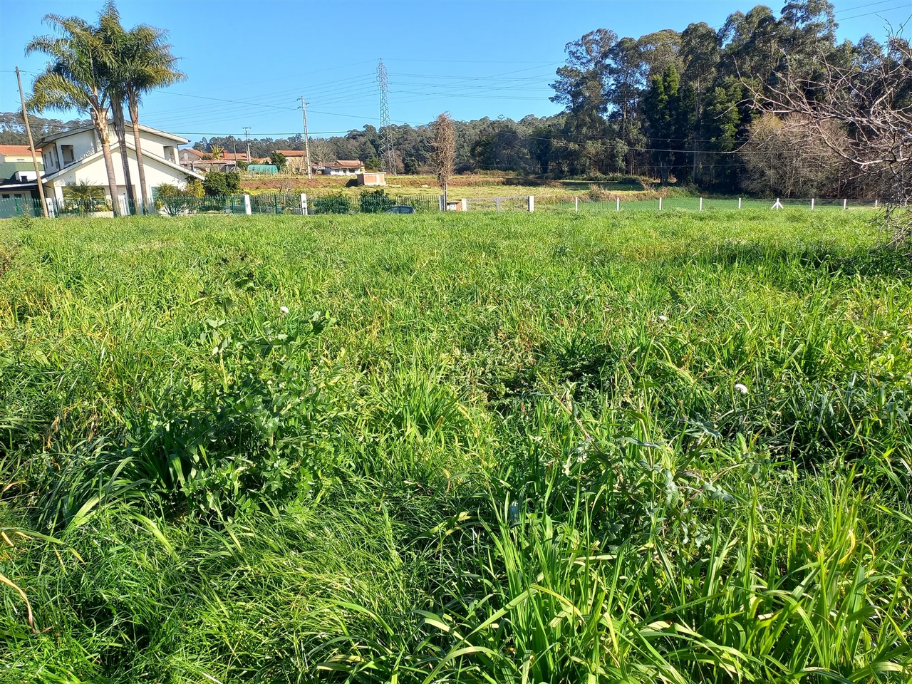 Terreno R�stico - S�o Martinho da G�ndara, Oliveira de Azem�is, Aveiro - Miniatura: 4/4