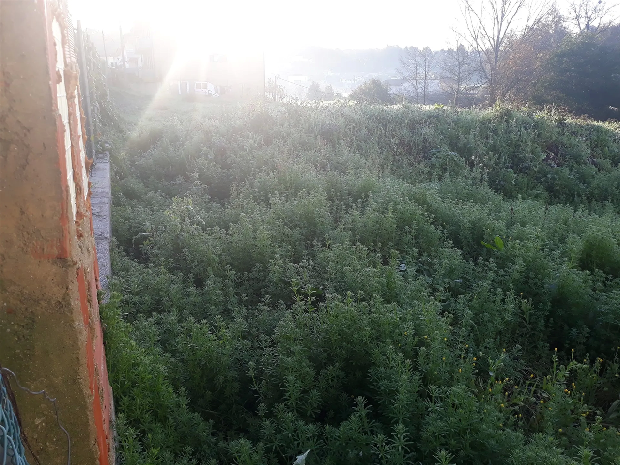 Terreno R�stico - Santiago de Riba-Ul, Oliveira de Azem�is, Aveiro - Miniatura: 3/4