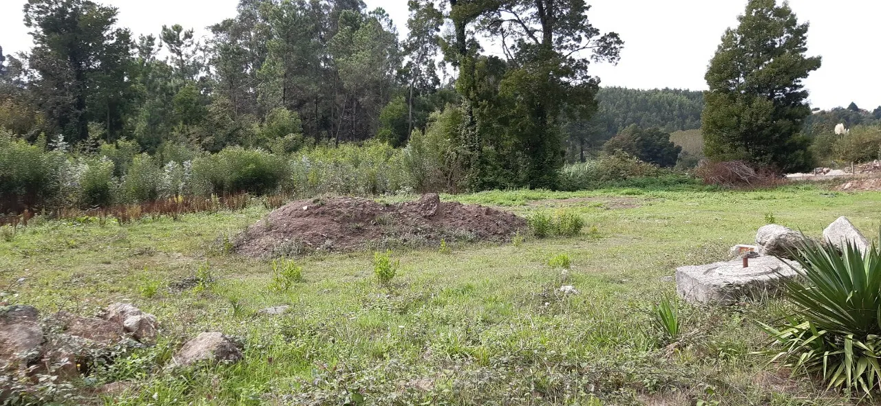 Terreno R�stico - S�o Roque, Oliveira de Azem�is, Aveiro - Miniatura: 1/3