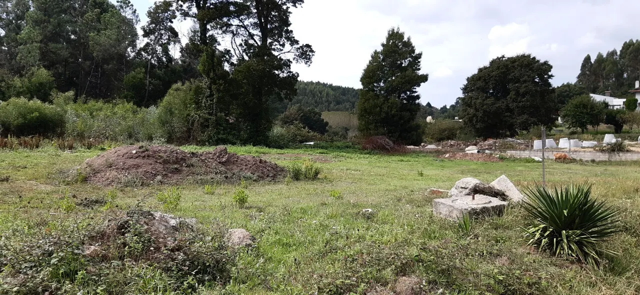 Terreno R�stico - S�o Roque, Oliveira de Azem�is, Aveiro - Miniatura: 2/3