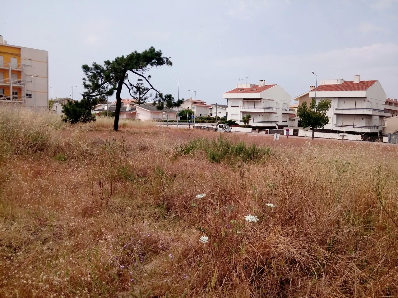 Terreno R�stico - Torreira, Murtosa, Aveiro - Miniatura: 4/4