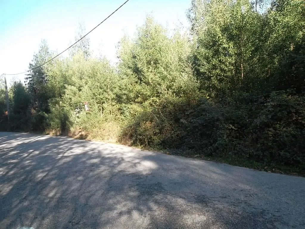 Terreno R�stico - Macieira de Sarnes, Oliveira de Azem�is, Aveiro - Miniatura: 1/1