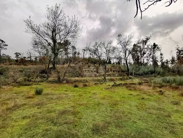 Quinta T0 - Vrzea de Ovelha, Marco de Canaveses, Porto - Miniatura: 7/9