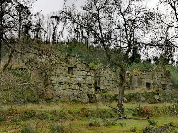 Quinta T0 - Vrzea de Ovelha, Marco de Canaveses, Porto - Miniatura: 9/9
