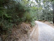 Terreno Rstico - Valadares, Baio, Porto - Miniatura: 1/6