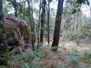 Terreno Rstico - Valadares, Baio, Porto - Miniatura: 2/6